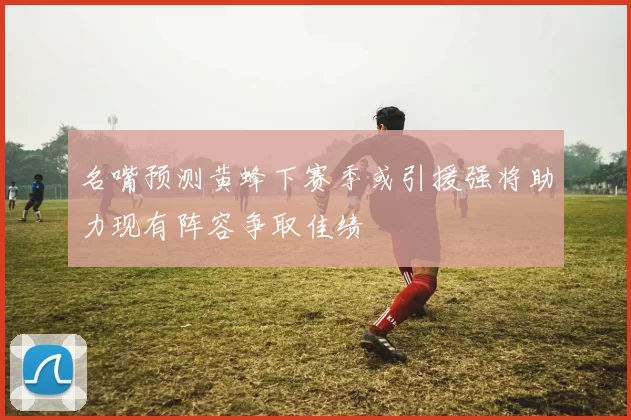 名嘴预测黄蜂下赛季或引援强将助力现有阵容争取佳绩